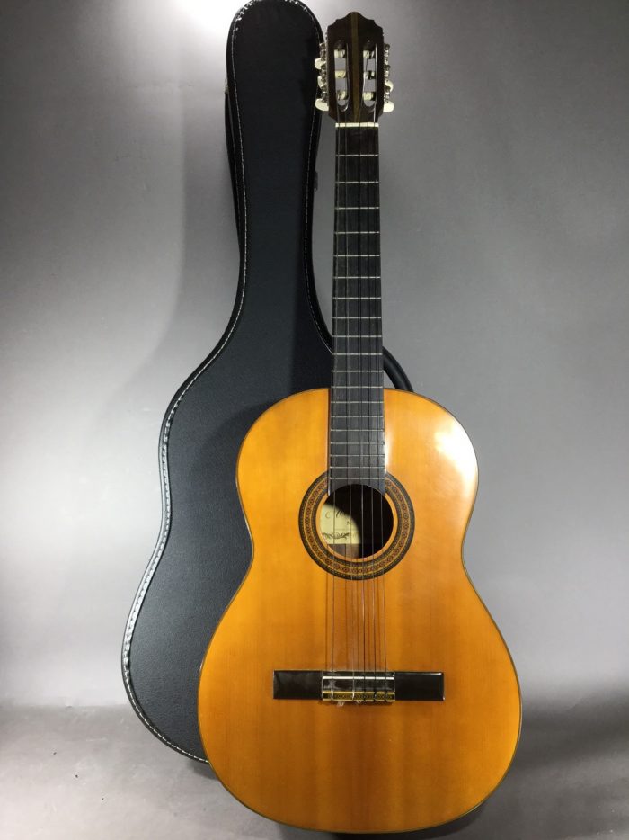 アコースティックギター GUT GUITAR zen-on - 岐阜・愛知（名古屋 