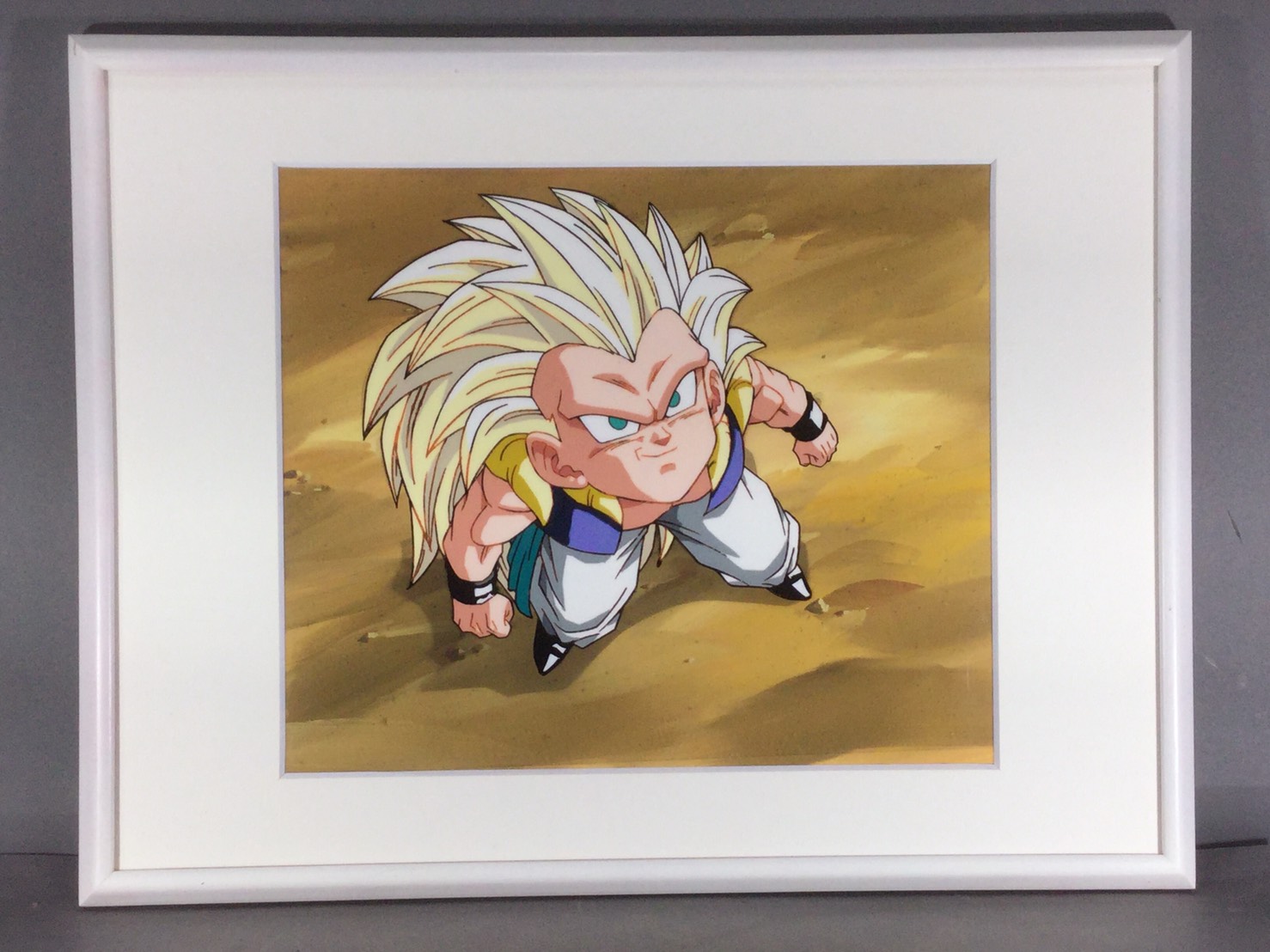 セル画 ドラゴンボール - 岐阜・愛知（名古屋）・三重・滋賀の